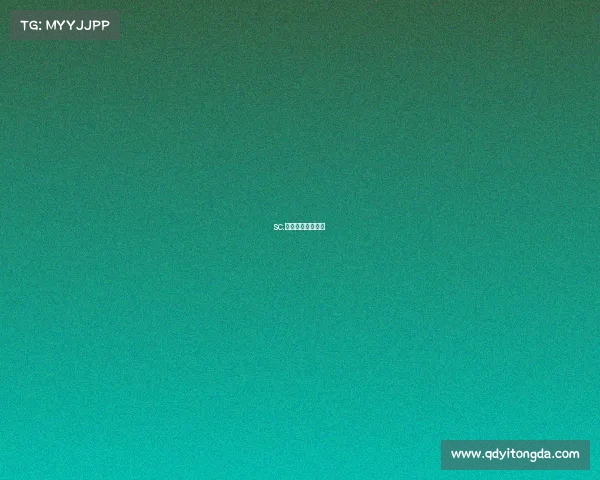 sc.电竞战队是几级的 sc.电竞战队是几级的